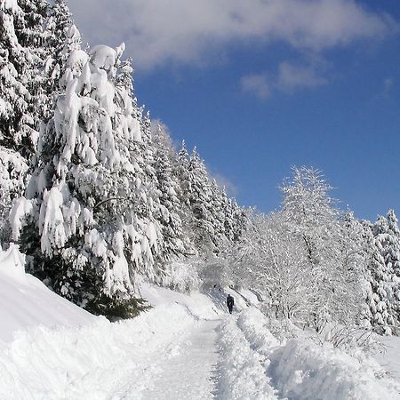Ferienwohnung Am Eisweiher ティティゼー・ノイシュタット エクステリア 写真