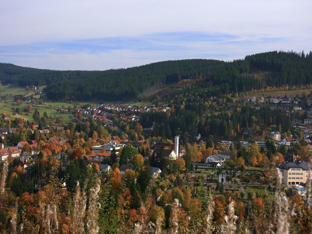 Ferienwohnung Am Eisweiher ティティゼー・ノイシュタット エクステリア 写真
