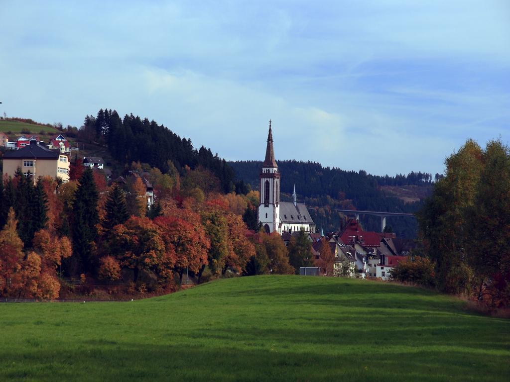 Ferienwohnung Am Eisweiher ティティゼー・ノイシュタット エクステリア 写真