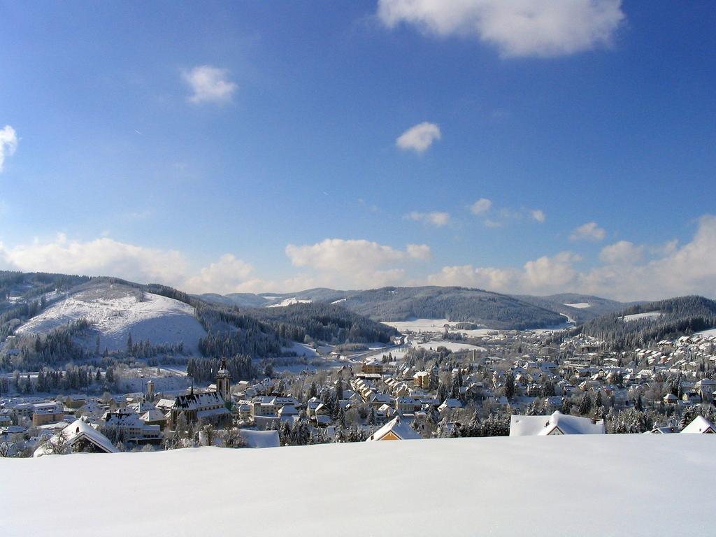 Ferienwohnung Am Eisweiher ティティゼー・ノイシュタット エクステリア 写真