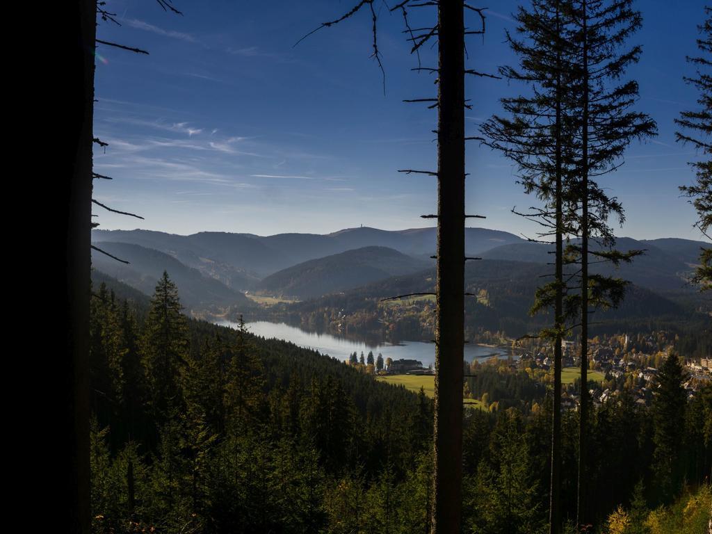 Ferienwohnung Am Eisweiher ティティゼー・ノイシュタット エクステリア 写真