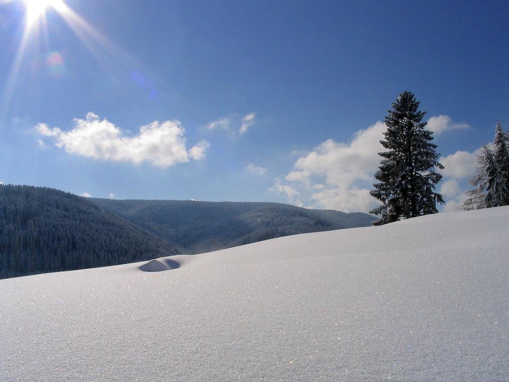 Ferienwohnung Am Eisweiher ティティゼー・ノイシュタット エクステリア 写真